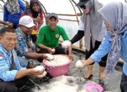 Panen Perdana Garam Demplot TEKAD di Desa Umiyal Capai 263 Kilogram