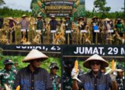 Perkuat Ketahanan Pangan, Wabup Helmi Hadiri Panen Raya Jagung di Halsel