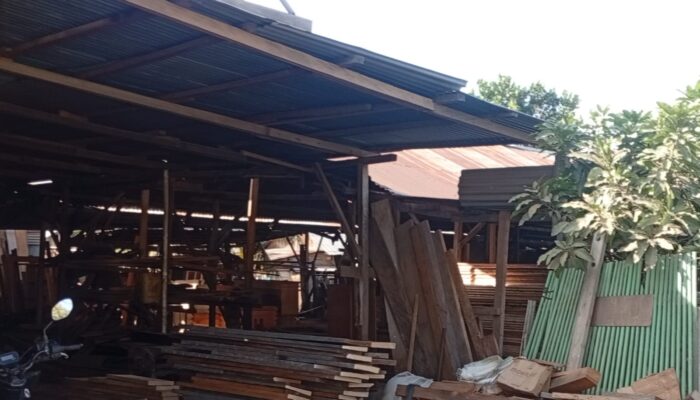 Kayu Hutan Diduga Dibabat dan Ditampung di Kampung Buton Obi, KPH Halsel Turun Tangan