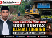 Kuasa Hukum Desak Polres Halsel Usut Tuntas Dugaan Illegal Logging di Sambiki
