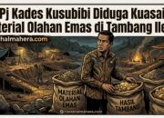Pj Kades Kusubibi Diduga Kuasai Material Olahan Emas di Tambang Ilegal